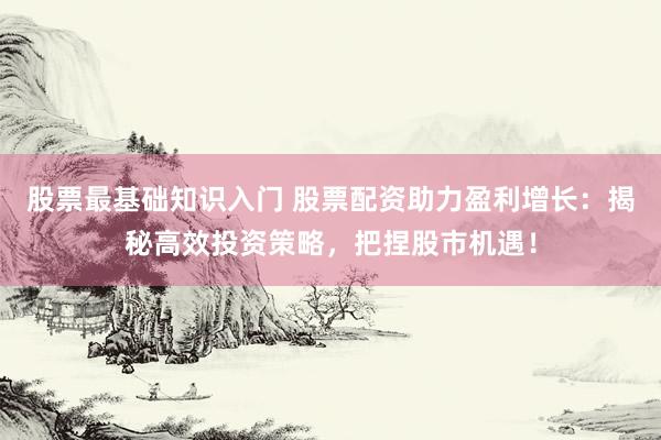 股票最基础知识入门 股票配资助力盈利增长：揭秘高效投资策略，把捏股市机遇！