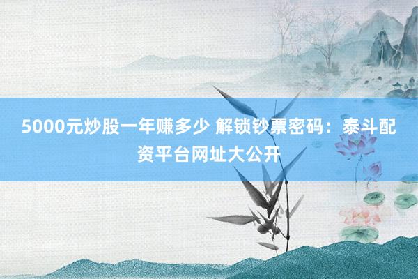 5000元炒股一年赚多少 解锁钞票密码：泰斗配资平台网址大公开