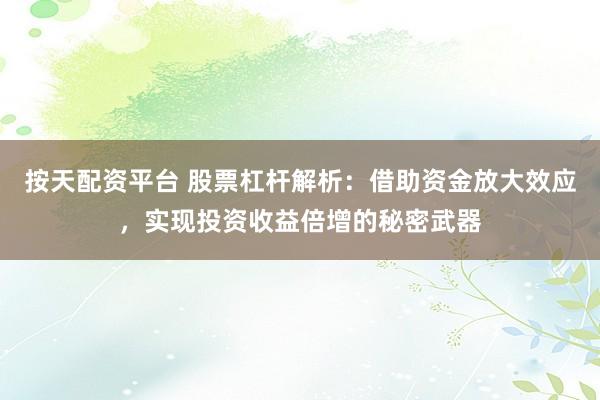 按天配资平台 股票杠杆解析：借助资金放大效应，实现投资收益倍增的秘密武器