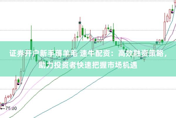 证券开户新手薅羊毛 速牛配资：高效融资策略，助力投资者快速把握市场机遇