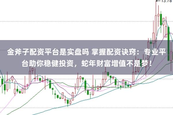 金斧子配资平台是实盘吗 掌握配资诀窍：专业平台助你稳健投资，蛇年财富增值不是梦！