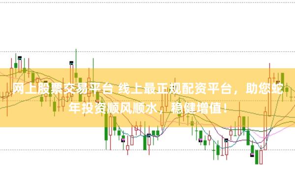 网上股票交易平台 线上最正规配资平台，助您蛇年投资顺风顺水，稳健增值！