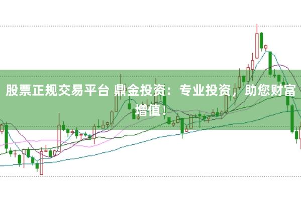 股票正规交易平台 鼎金投资：专业投资，助您财富增值！