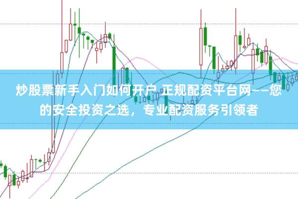 炒股票新手入门如何开户 正规配资平台网——您的安全投资之选，专业配资服务引领者