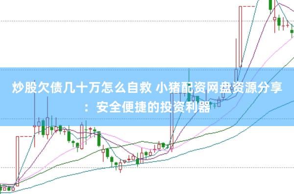 炒股欠债几十万怎么自救 小猪配资网盘资源分享：安全便捷的投资利器