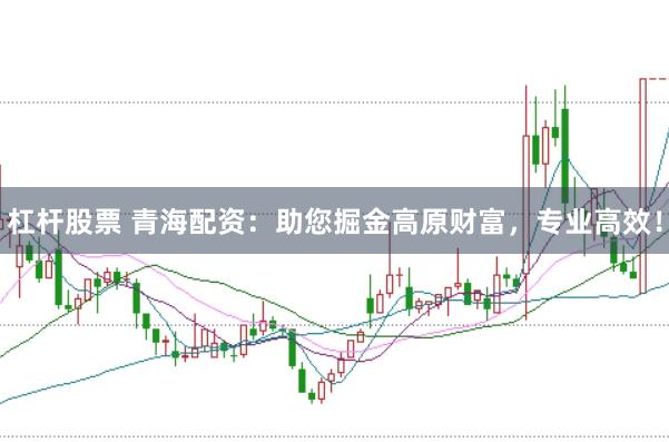 杠杆股票 青海配资：助您掘金高原财富，专业高效！