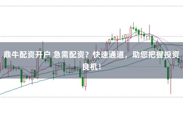 鼎牛配资开户 急需配资？快速通道，助您把握投资良机！
