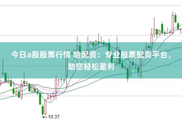 今日a股股票行情 哈配资：专业股票配资平台，助您轻松盈利