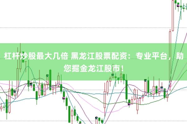 杠杆炒股最大几倍 黑龙江股票配资：专业平台，助您掘金龙江股市！