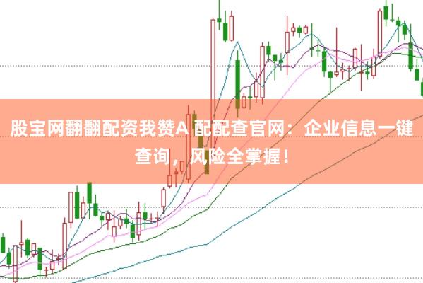 股宝网翻翻配资我赞A 配配查官网：企业信息一键查询，风险全掌握！