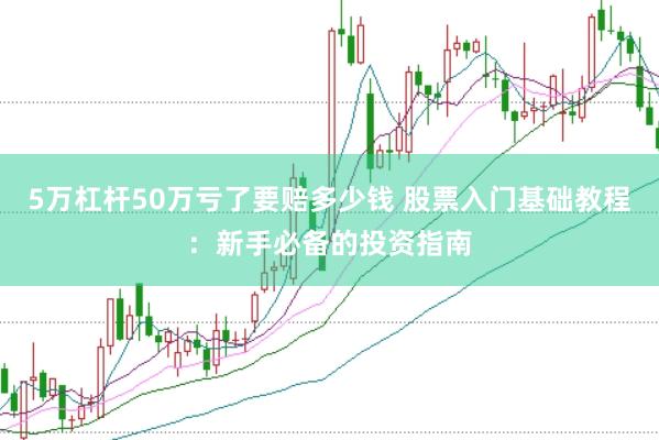 5万杠杆50万亏了要赔多少钱 股票入门基础教程：新手必备的投资指南