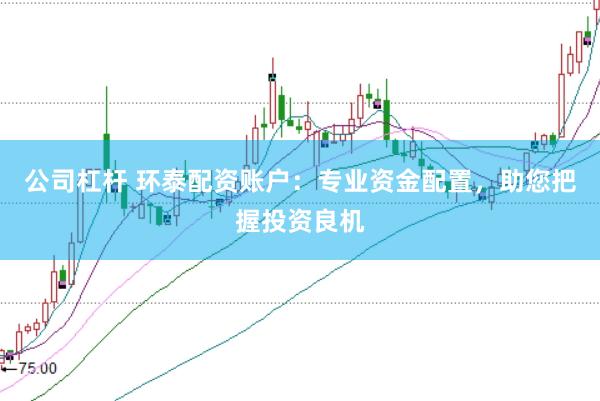 公司杠杆 环泰配资账户:专业资金配置,助您把握投资良机