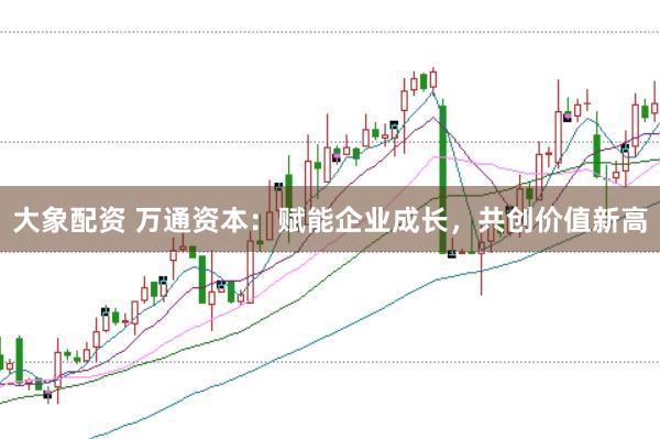 大象配资 万通资本:赋能企业成长,共创价值新高